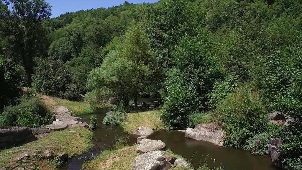 הוילה Ferrieres  Moulin De Record מראה חיצוני תמונה
